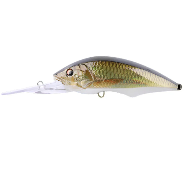 Bone Toughfia Papuan Bass Diver 80F - Image 7