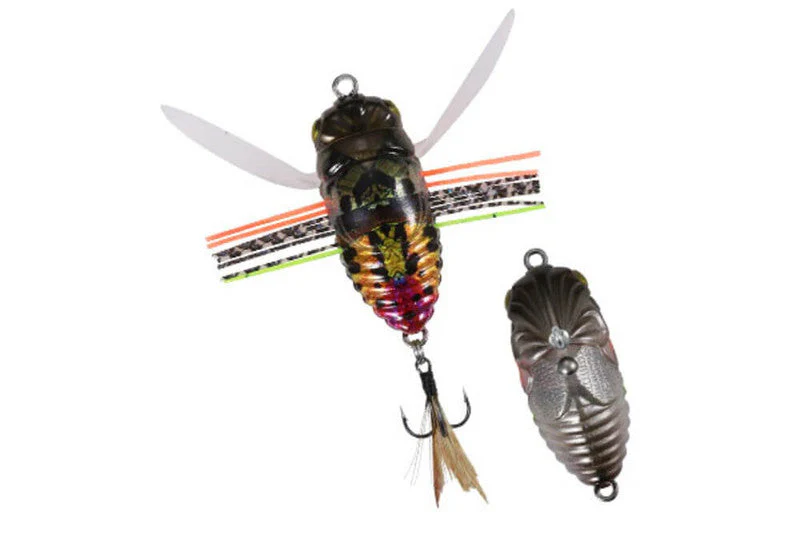 Duo Realis Koshinmushi - Tsukutsukuhoushi - Image 3
