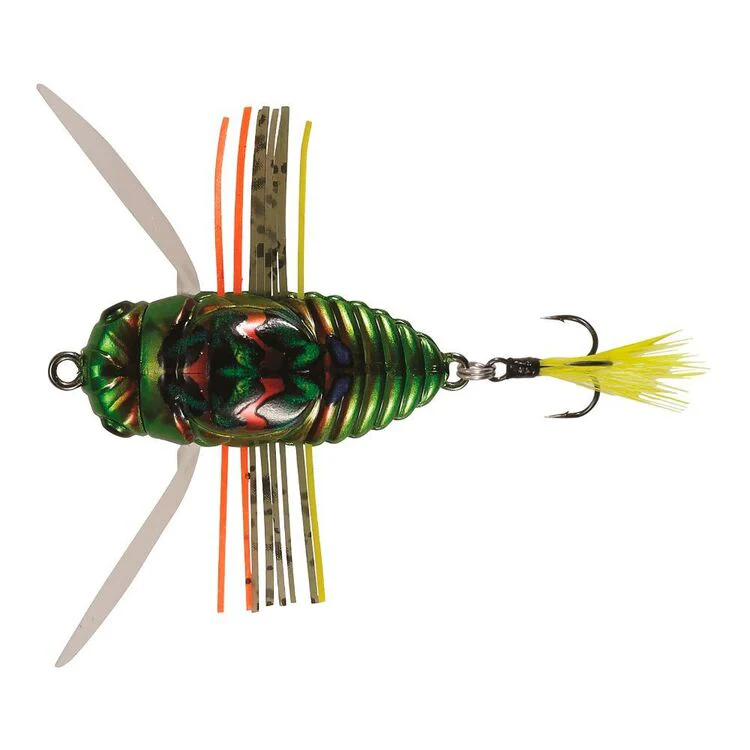 Duo Realis Koshinmushi - Tsukutsukuhoushi - Image 4