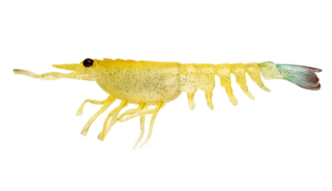 Nomad Live Ops Switcher Shrimp 2.3" (6 Pack) - Image 3
