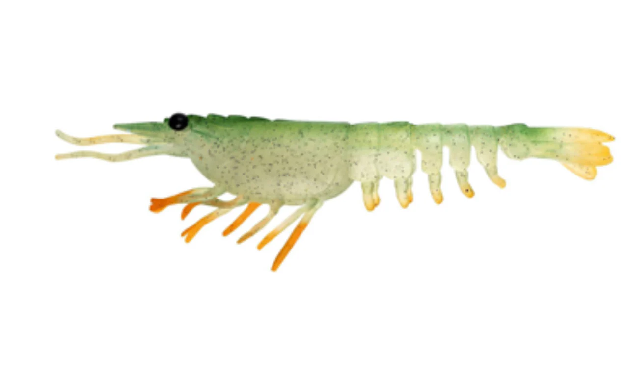 Nomad Live Ops Switcher Shrimp 2.3" (6 Pack) - Image 5