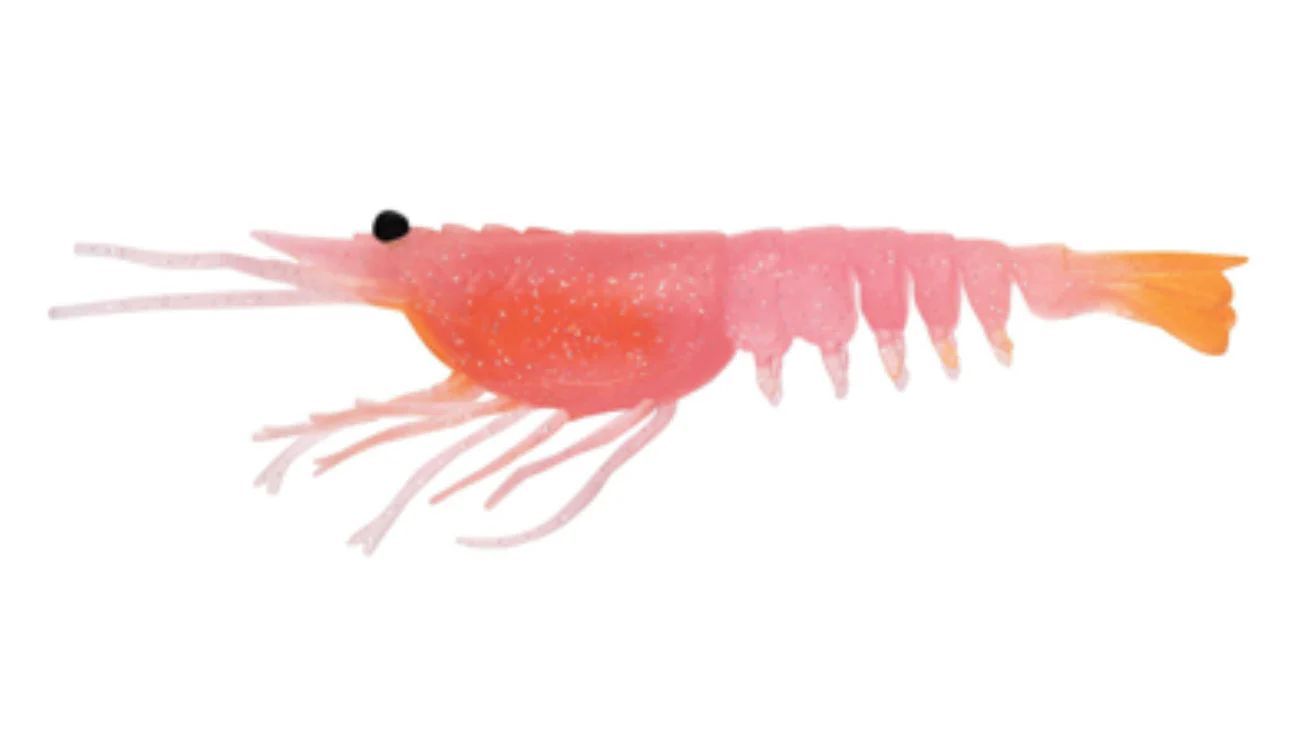 Nomad Live Ops Switcher Shrimp 2.3" (6 Pack) - Image 7
