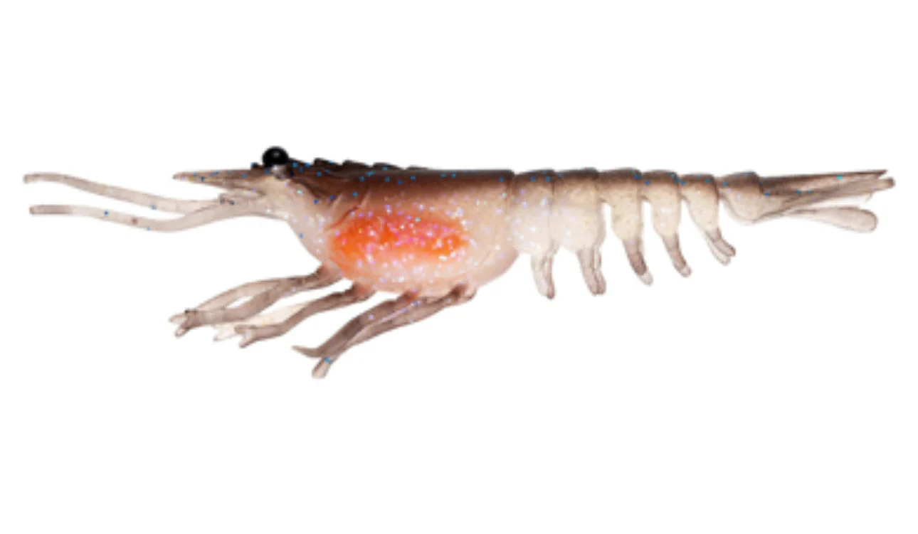 Nomad Live Ops Switcher Shrimp 5" (3 Pack) - Image 5