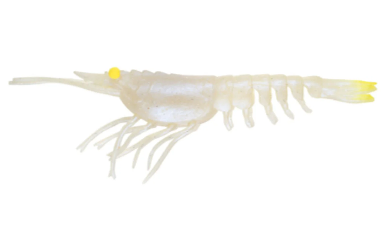 Nomad Live Ops Switcher Shrimp 5" (3 Pack) - Image 6