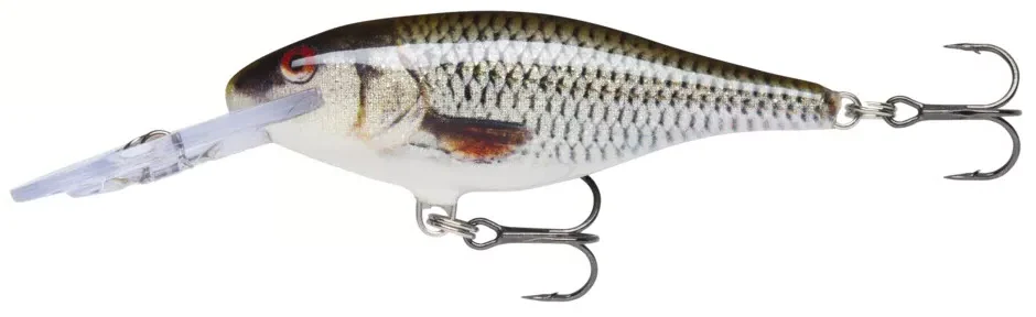 Rapala Shad Rap SR7 - Image 2