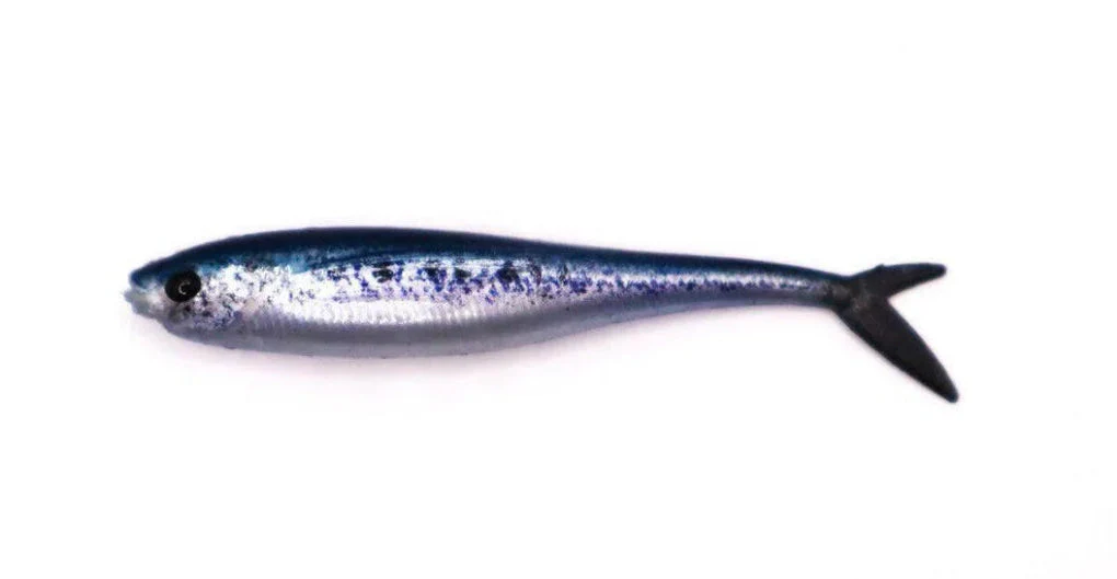 S Tackle Fish Tail Minnow 3D 5" - Image 3