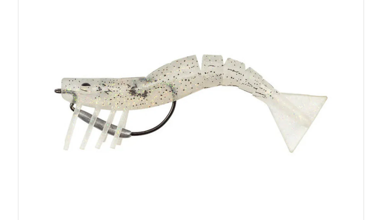 Samaki Live Shrimp 50mm - Image 4