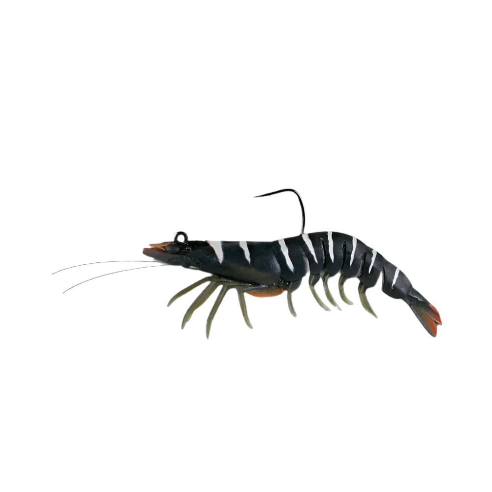 Zerek Absolute Shrimp 3.5 - Image 3