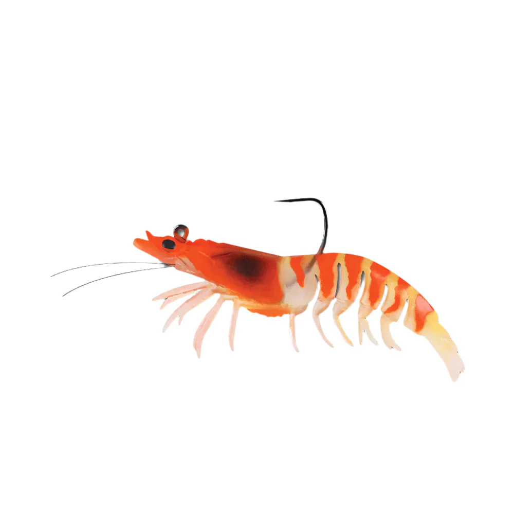 Zerek Absolute Shrimp 3.5 - Image 5